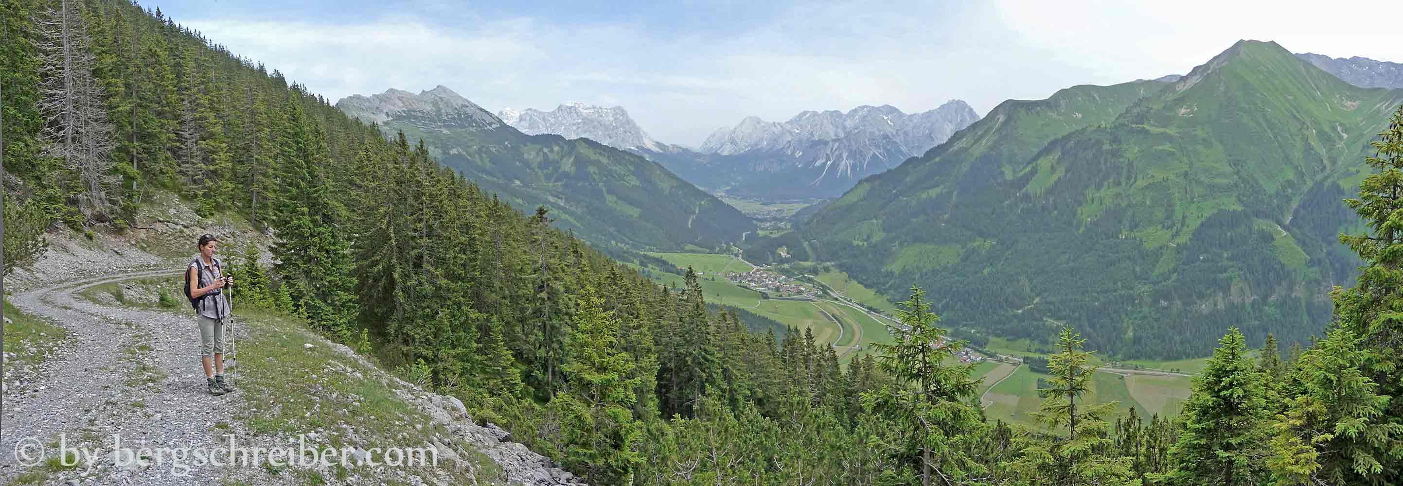 Langer Forstweg ins Tal
