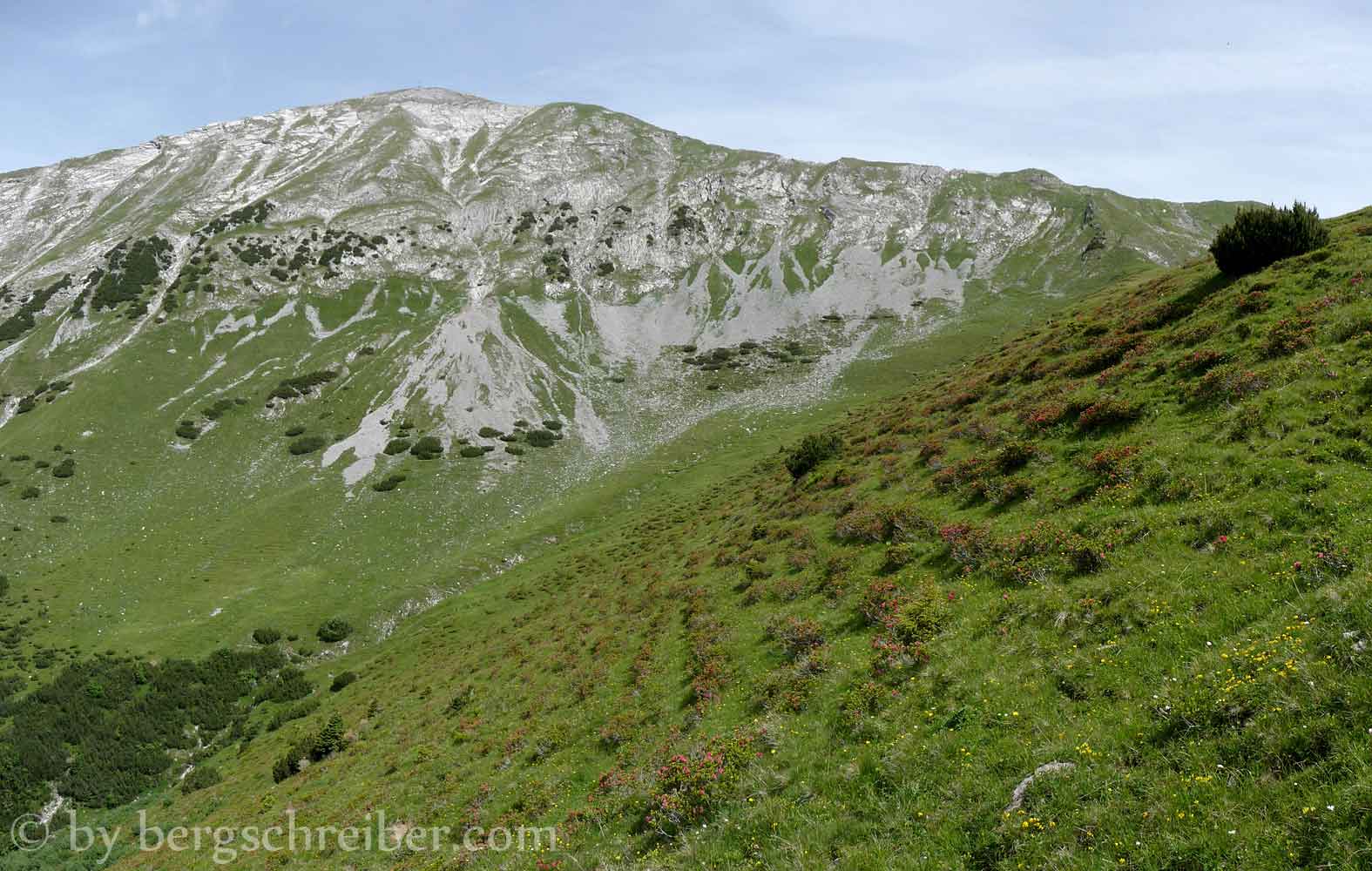 Alpenrosenhang