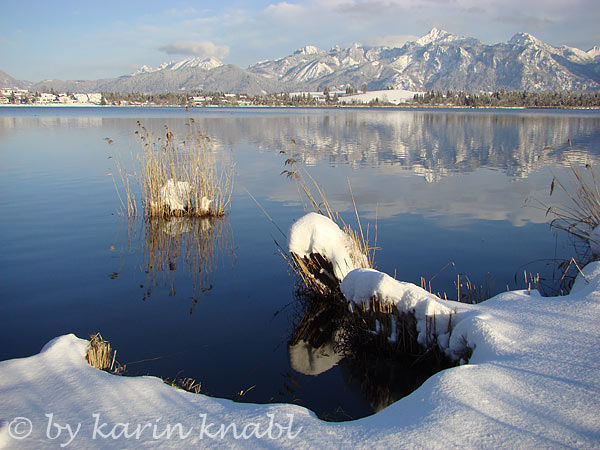 Winter - Hopfensee