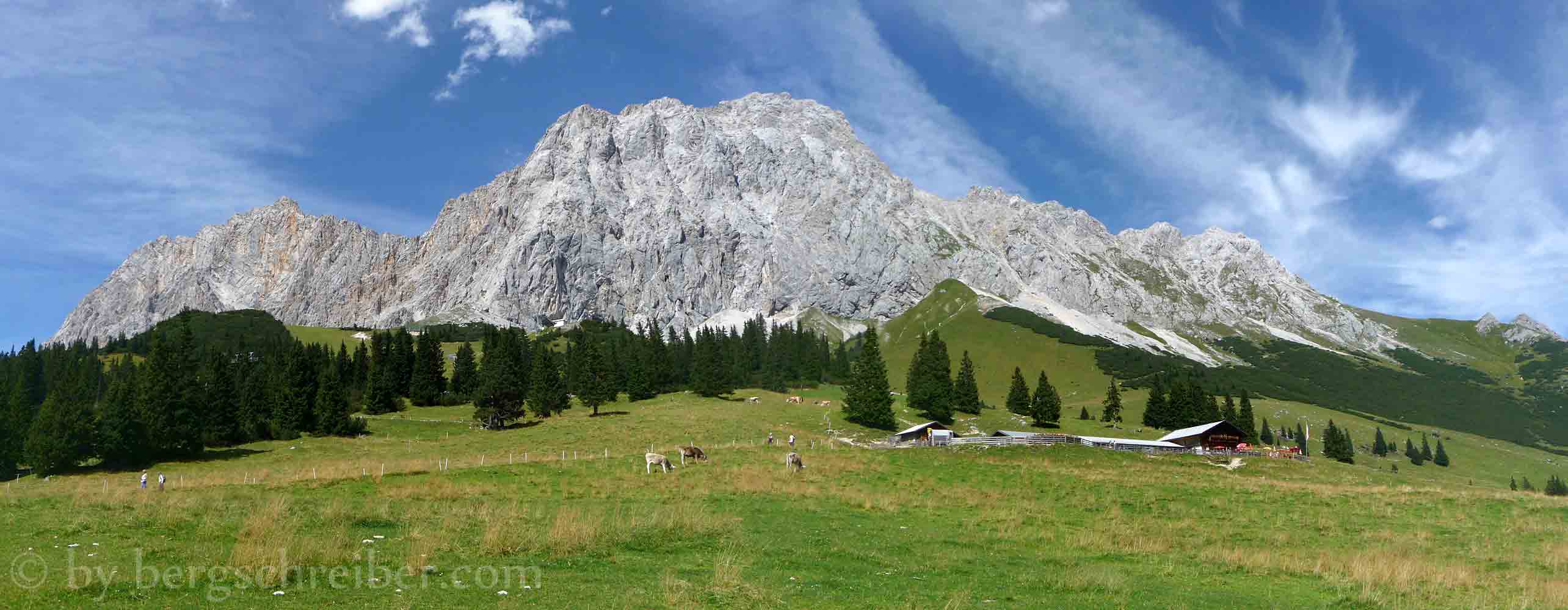 Hochfeldern Alm, darüber Wetterwandeck, Plattspitzen und Gatterlköpfe