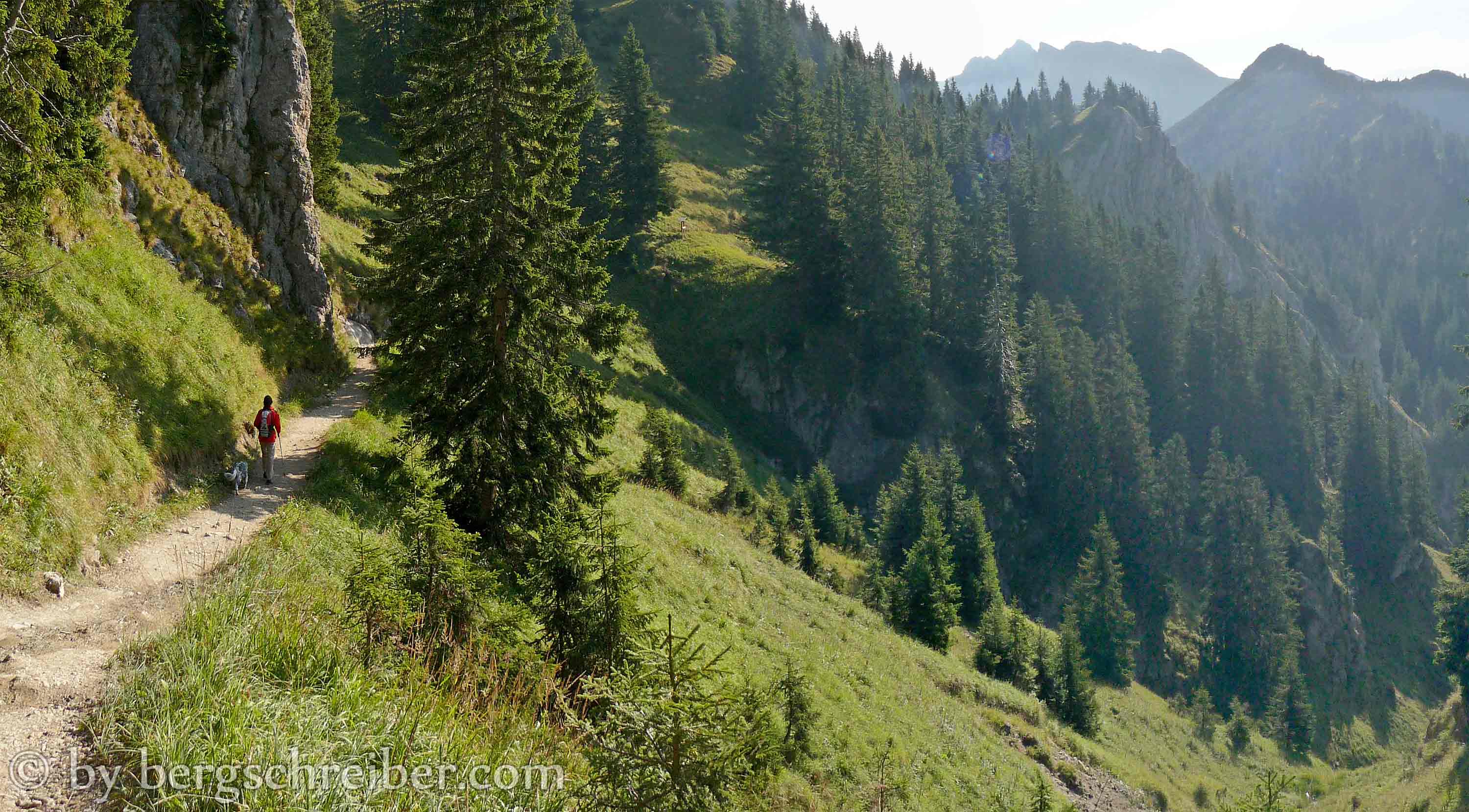 Reitweg, schöner Wanderweg am Tegelberg