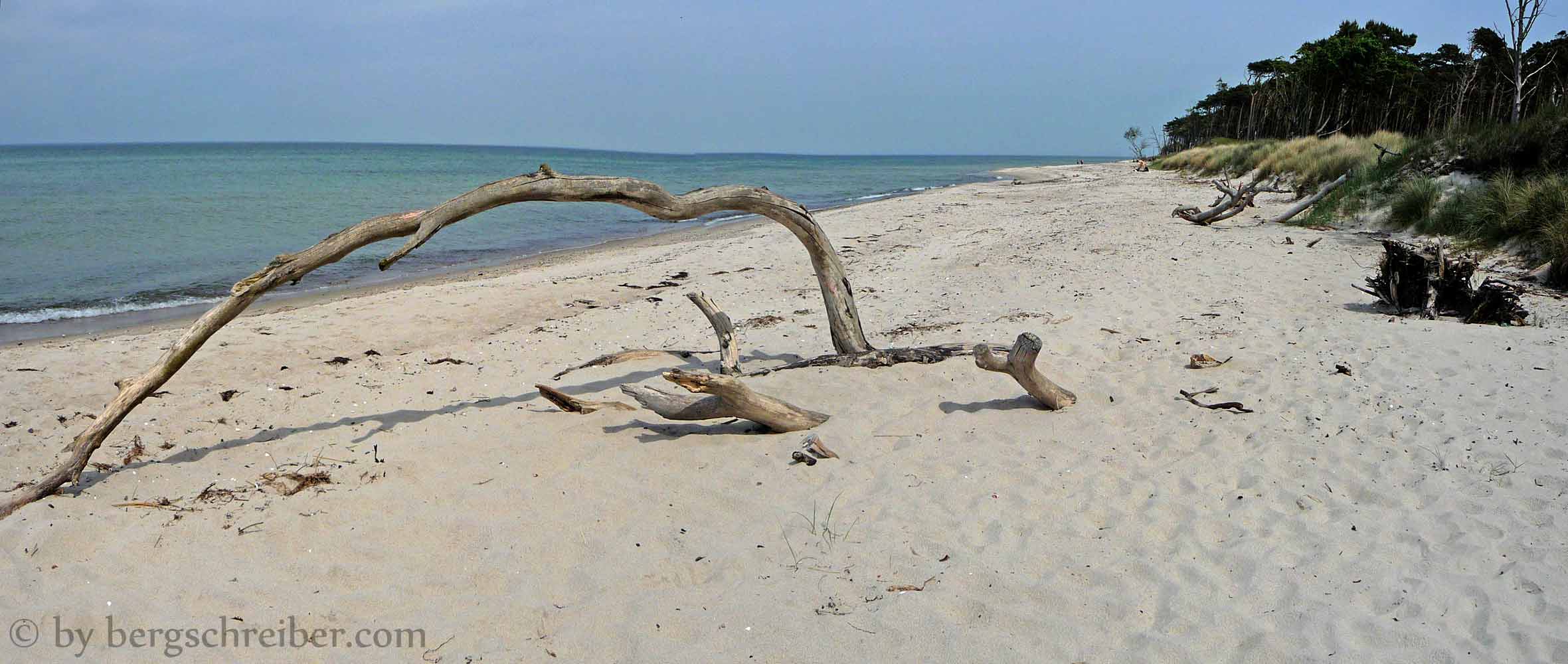 Weststrand Baumbogen