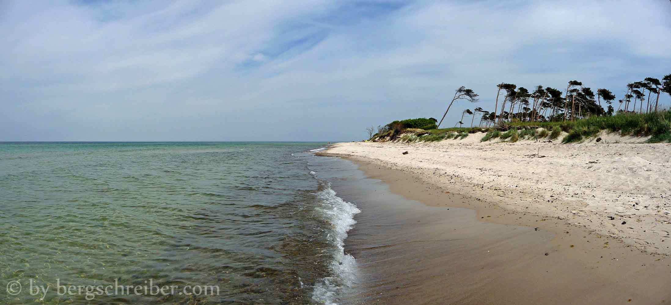 Ostsee Darß Windflüchter