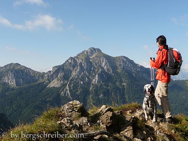 Tegelberg Reitweg, Blick zum Säuling