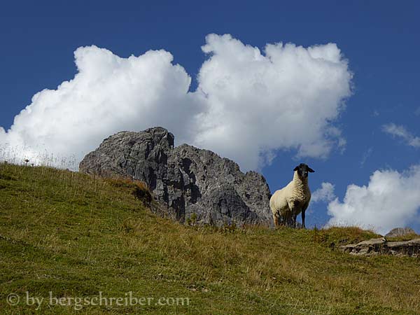 Pfafflar Galtseitejoch