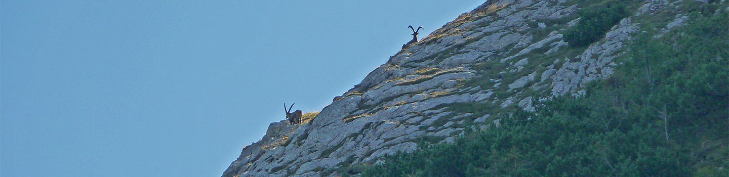 Schau mal ... Webcams in den Bergen!
